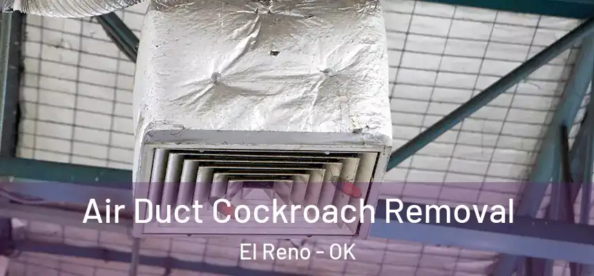  Air Duct Cockroach Removal El Reno - OK