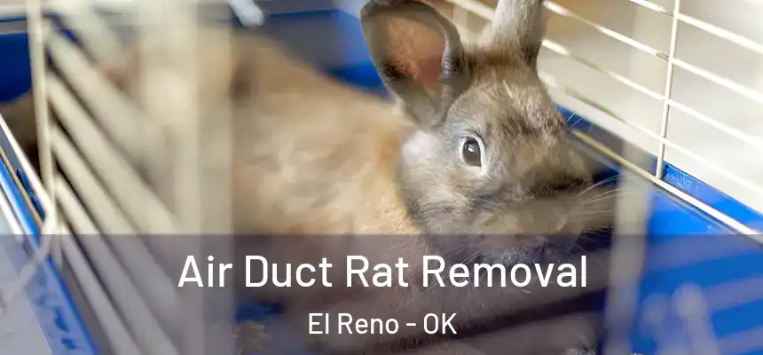  Air Duct Rat Removal El Reno - OK