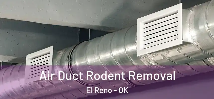 Air Duct Rodent Removal El Reno - OK