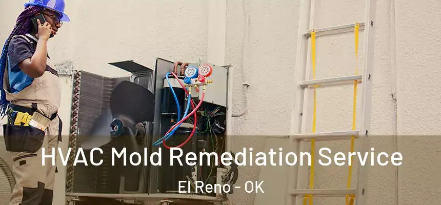 HVAC Mold Remediation Service El Reno - OK