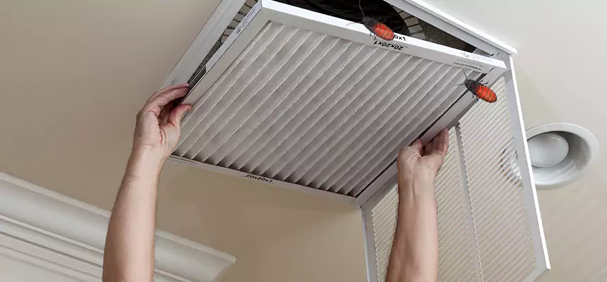 Preventive Cockroach-Proofing for Ducts in El Reno