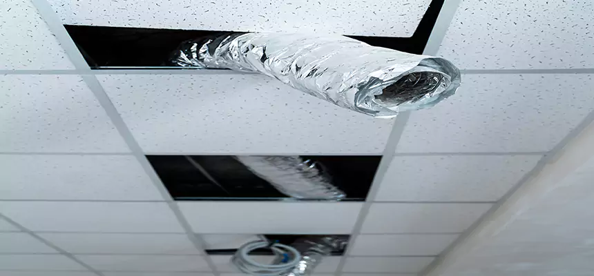 Our Air Duct Pet Hair Removal Services in El Reno, OK