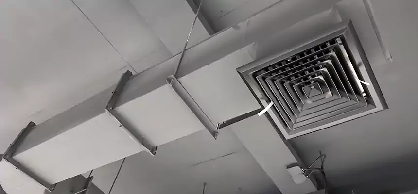 Our Pest Removal From Ducts Services in El Reno, OK