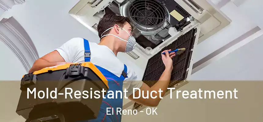  Mold-Resistant Duct Treatment El Reno - OK