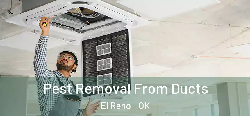 Pest Removal From Ducts El Reno - OK