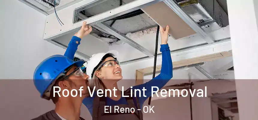  Roof Vent Lint Removal El Reno - OK