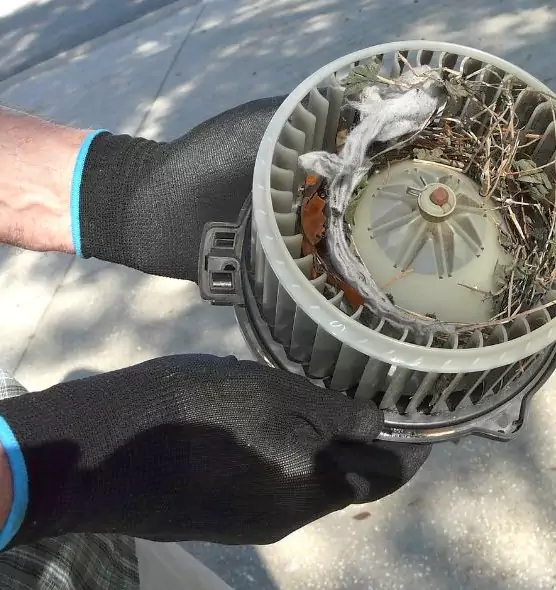 About Air Duct Rat Removal in El Reno, OK